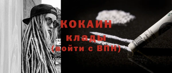 дурь Ладушкин