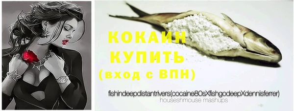 дурь Ладушкин