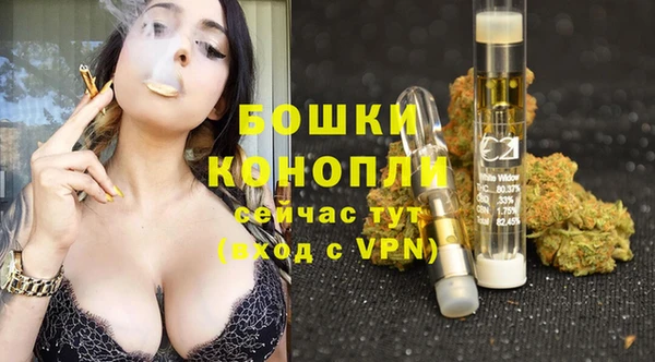 apvp Лагань