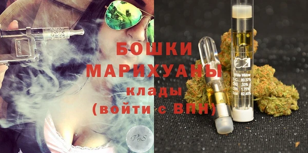 дурь Ладушкин