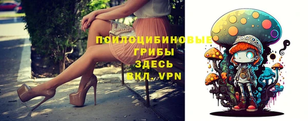 apvp Лагань