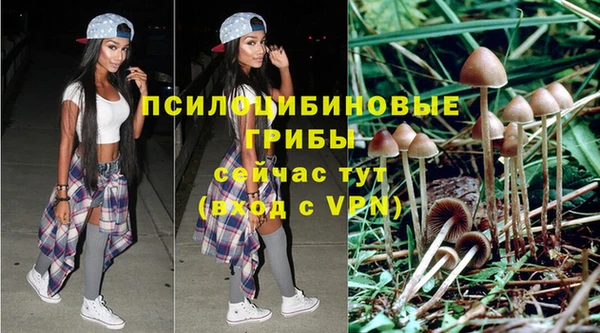 ешки Лабытнанги