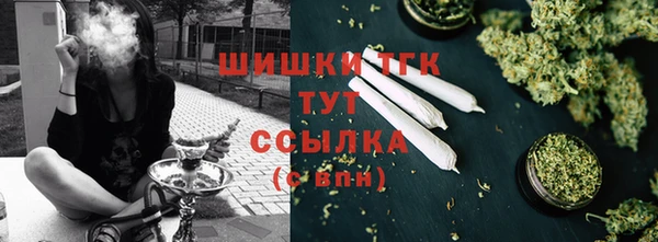 дурь Ладушкин