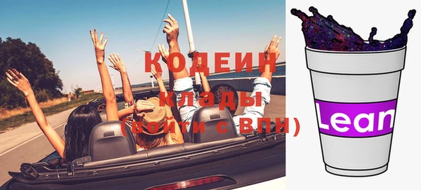 дурь Ладушкин
