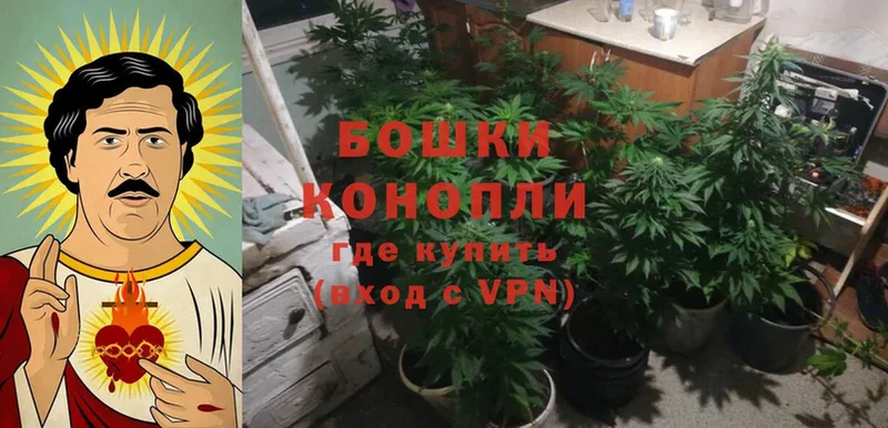 как найти   Лысково  МАРИХУАНА White Widow 